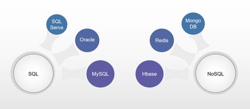數字化轉型路上，企業管理者必備的數據基礎概念